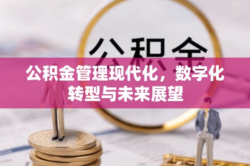 德兴公积金管理现代化，数字化转型与未来展望