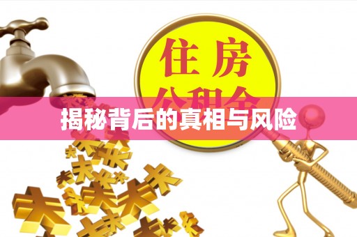 德兴揭秘背后的真相与风险