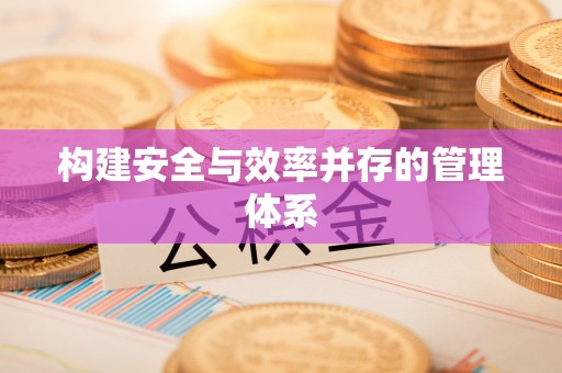 德兴构建安全与效率并存的管理体系