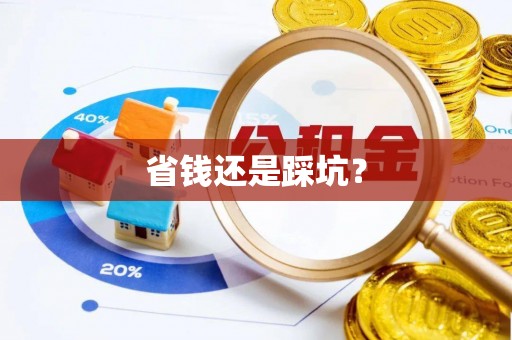 德兴省钱还是踩坑？