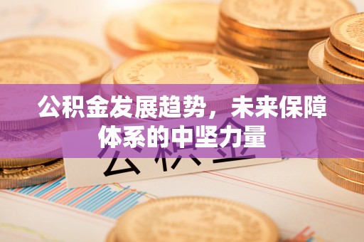 德兴公积金发展趋势，未来保障体系的中坚力量