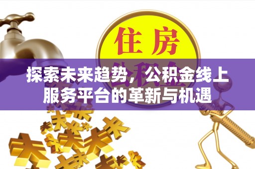 德兴探索未来趋势，公积金线上服务平台的革新与机遇
