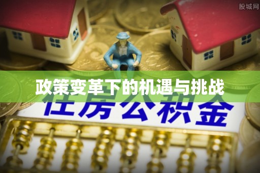 德兴政策变革下的机遇与挑战
