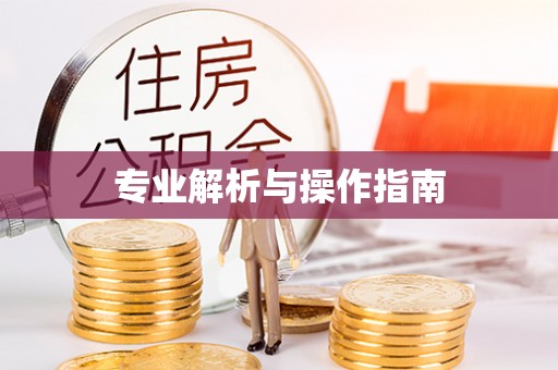 德兴专业解析与操作指南