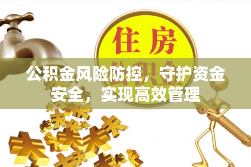 德兴公积金风险防控，守护资金安全，实现高效管理