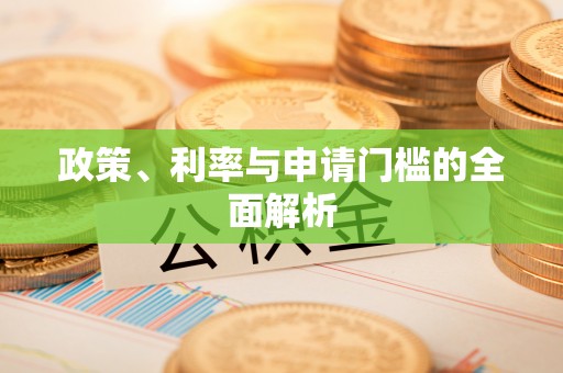 德兴政策、利率与申请门槛的全面解析
