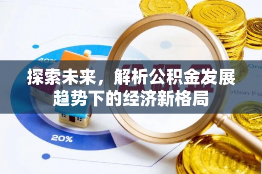 德兴探索未来，解析公积金发展趋势下的经济新格局