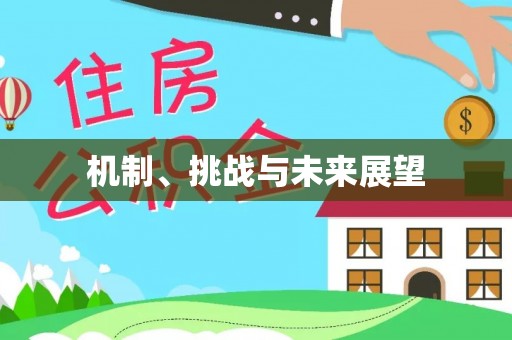 德兴机制、挑战与未来展望